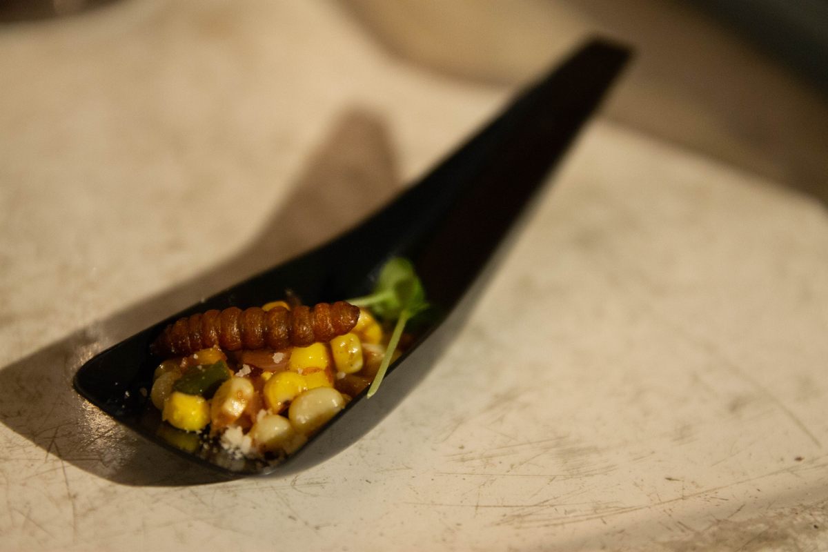 Elote corn salad with maguey worms.