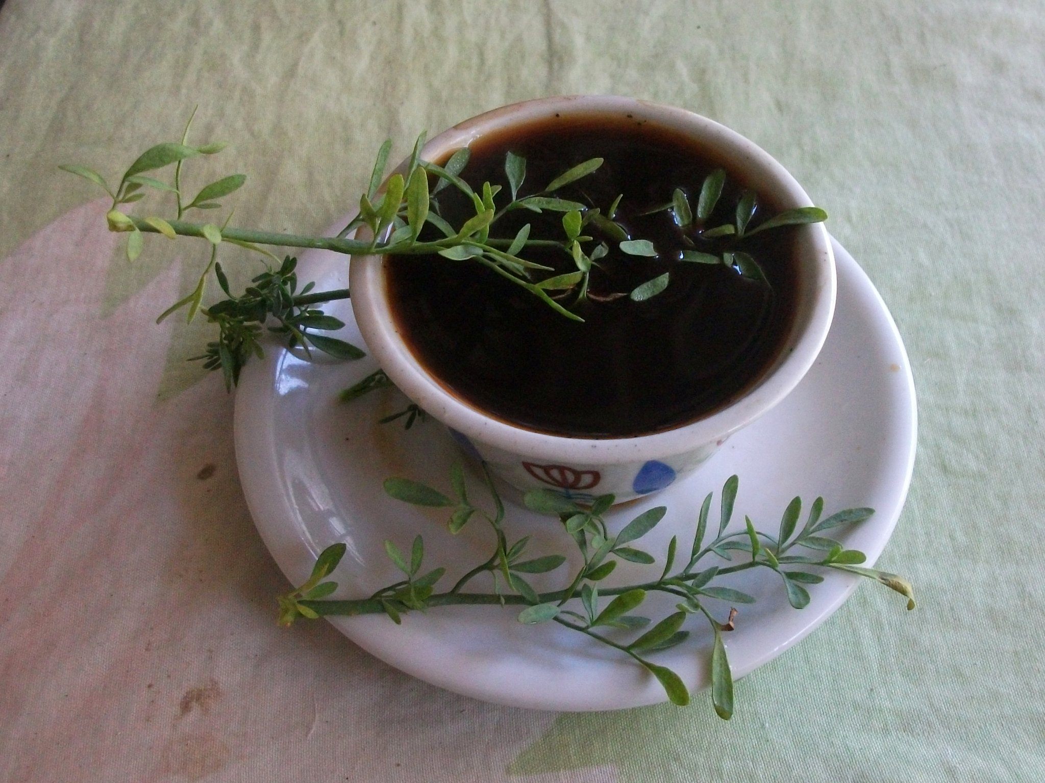 In Ethiopia, fresh rue may be dipped in coffee or tea to flavor the beverage.