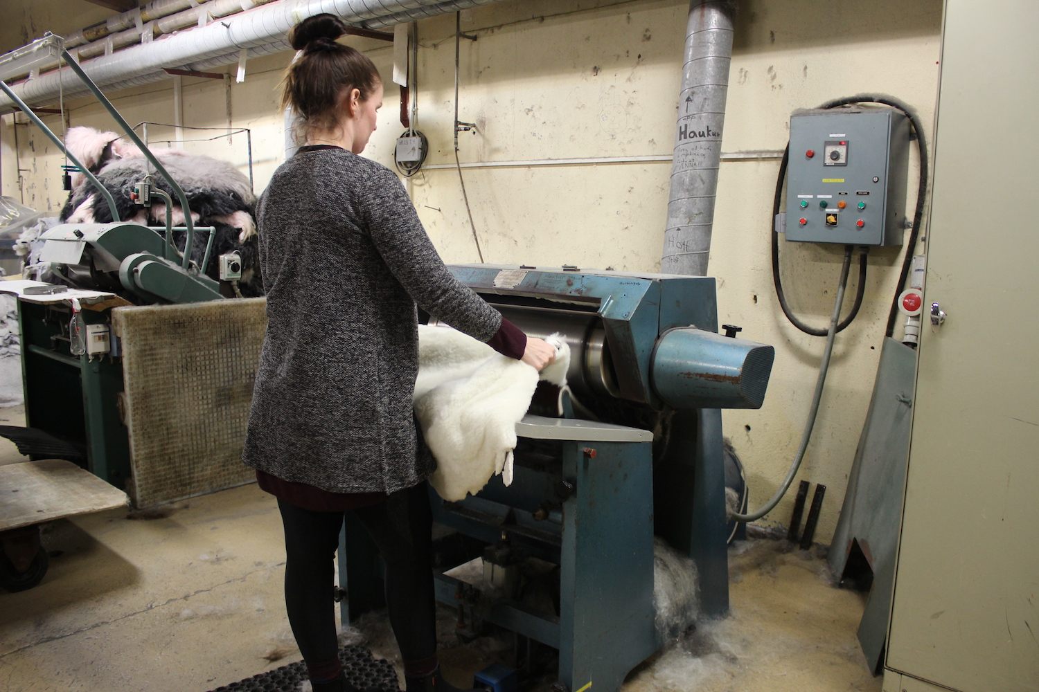 Steinunn Gunnsteindóttir feeds a skin through a machine at her family's tannery, part of the multi-step process of softening and treating skins before they are ready to sell.