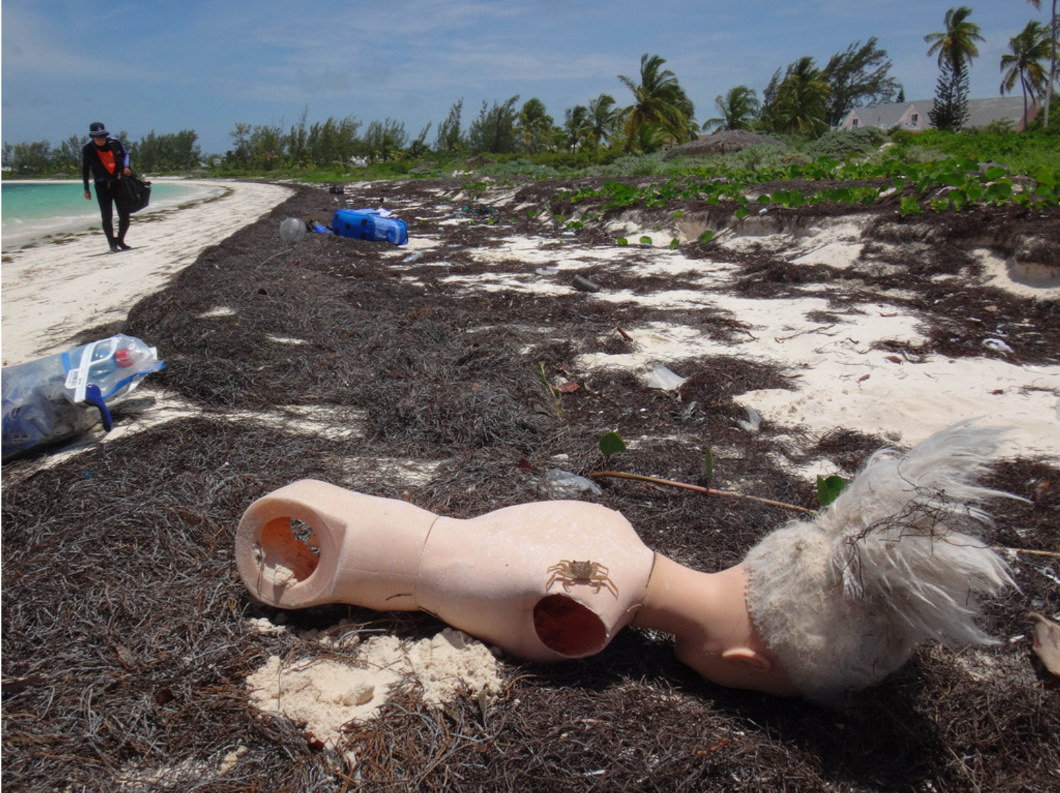 A Barbie head and torso, repurposed by a crab in the Bahamas and later found by reader Ellen Bulger.