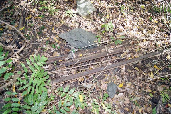 Iron rails from the Incline Plane lay discarded, slowly sinking into the earth.