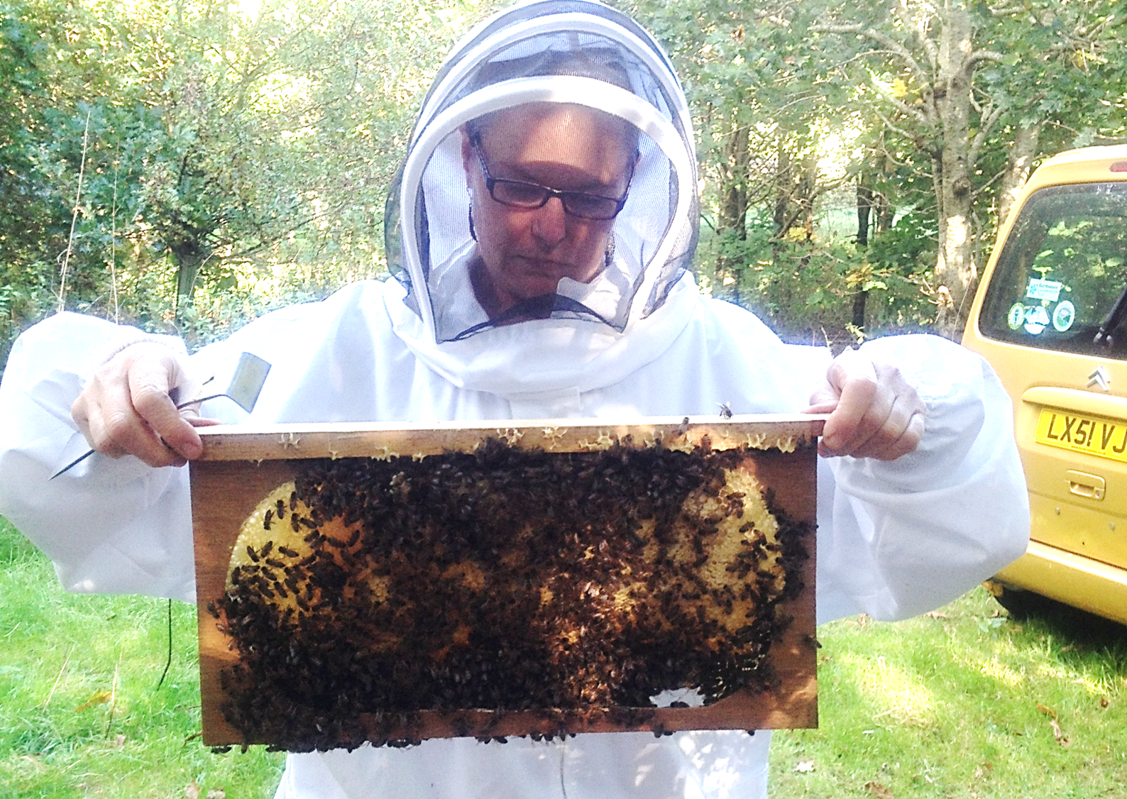 6 ways to join the beekeeping community - PerfectBee