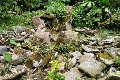 Chiefs' Graves at Amelbati Cannibal Site