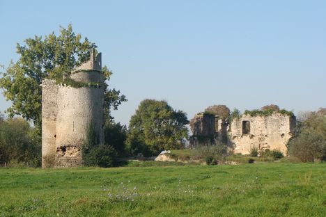 Chateau de Machecoul 