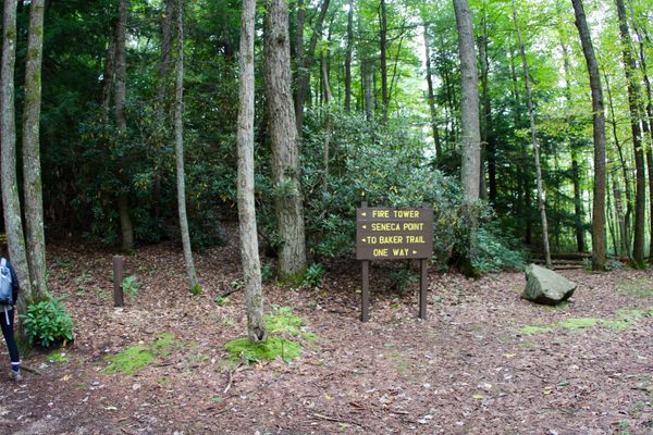 Take trail to the fire tower for spectacular views.