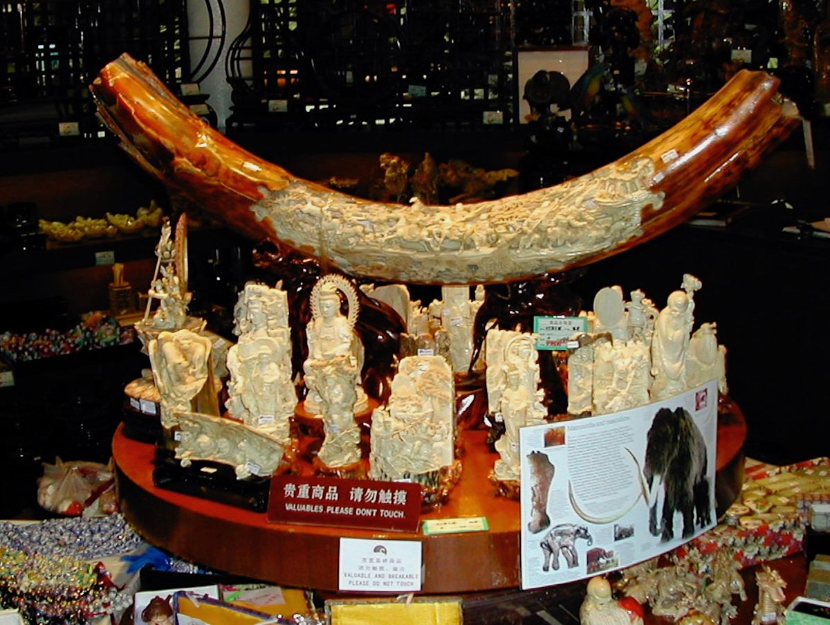 Ivory figurines and a large, carved tusk for sale. Mammoth ivory often has a brown, mineralized patina.