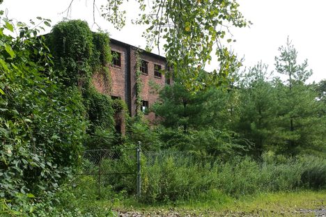 Abandoned Dennings Point Brickworks