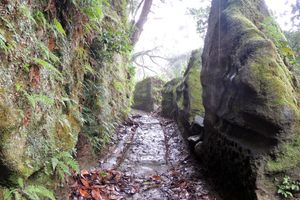 Photo of Kyonan