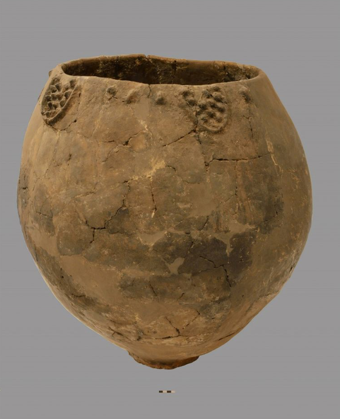 A Neolithic jar from Georgia contains the earliest known evidence of winemaking.
