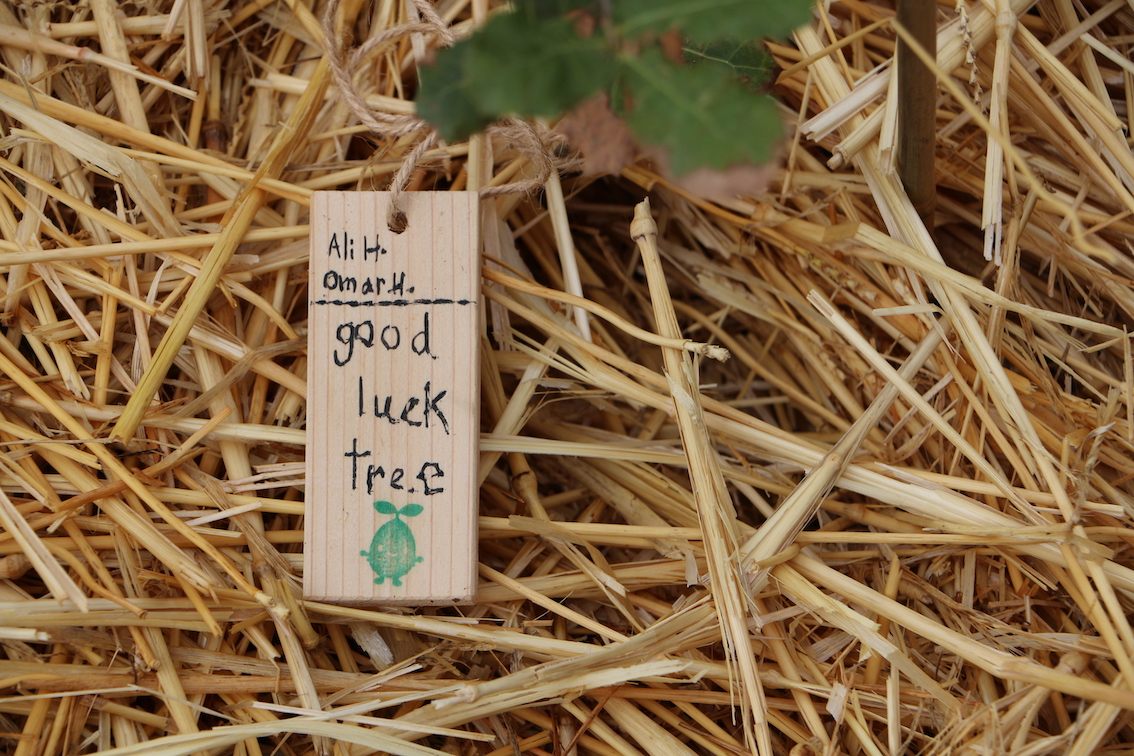 A message for a sapling planted at one of the small-scale forest pilot sites in Amman.