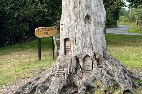 Tree of Imagination. 
