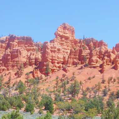 Red Canyon
