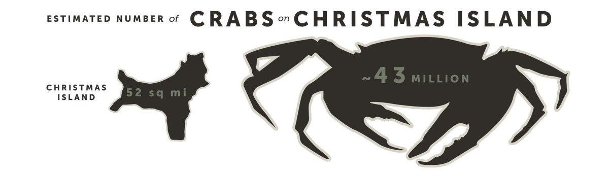 Estimated population of Christmas Island crabs
