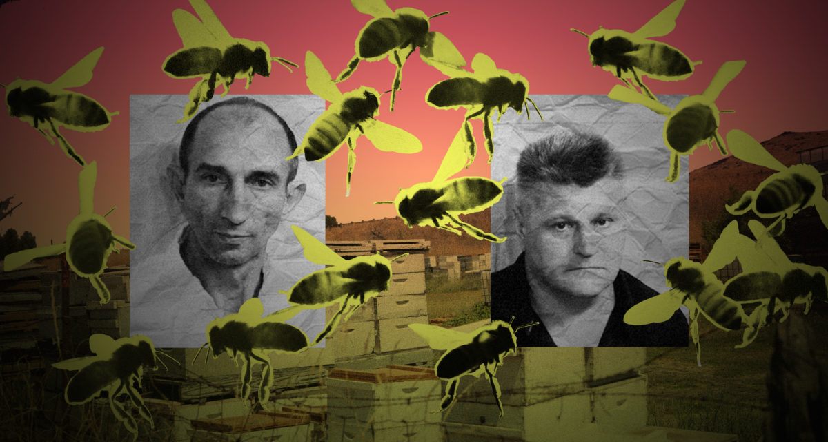 Pavel Tveretinov (left) and Vitaliy Yeroshenko of California were arrested in 2017 after law enforcement officials found thousands of beehives, worth nearly one million dollars, some stolen from orchards hundreds of miles apart.