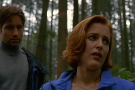 The Vancouver Forest That Has Been Every Wooded Location on 'X-Files'