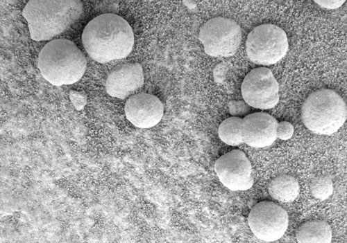 Concretions on Mars.