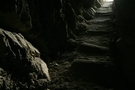 Go to the light