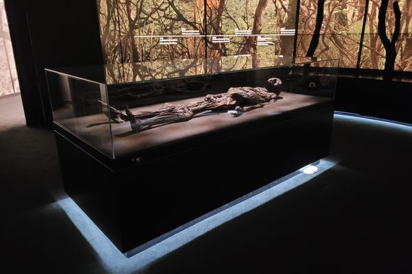 The bog body has permanently been moved to the Cultural Museum in Vejle.