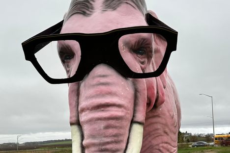Pinkie the Pink Elephant