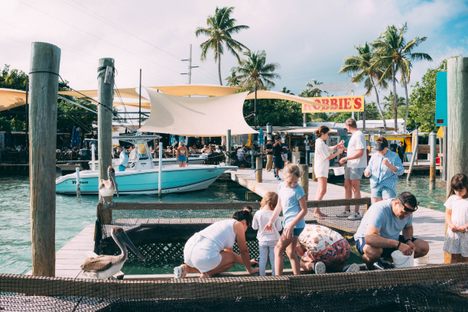 Feeding the tarpons is a fun experience for the whole family.