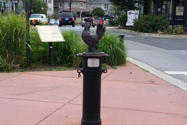 Rooster and pedestrian-friendly median