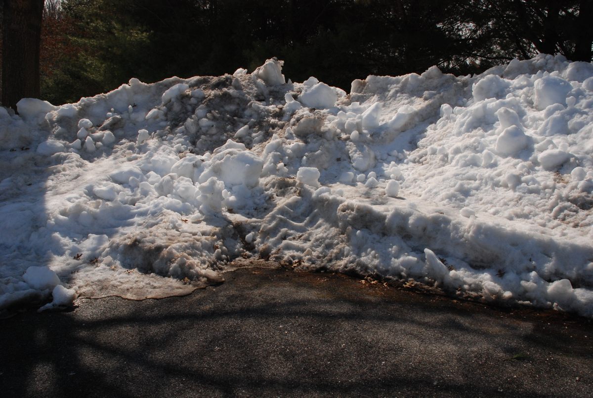 The snowbank that started it all.