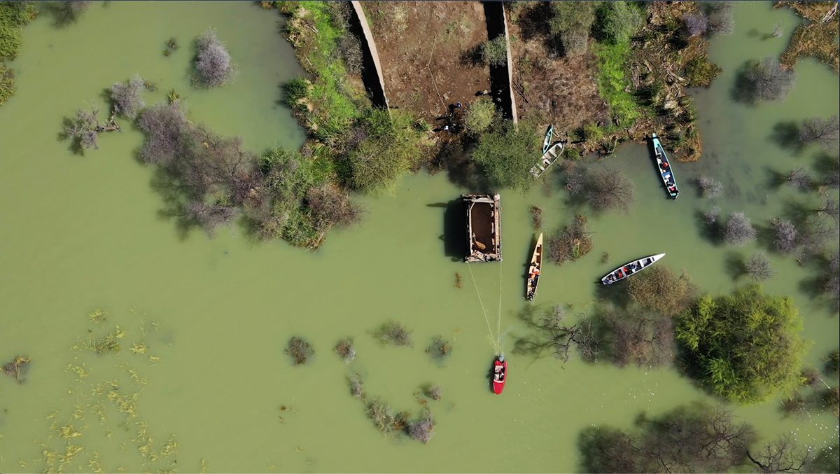 An aerial view shows the rescue of the giraffe Asiwa from the flooded island.
