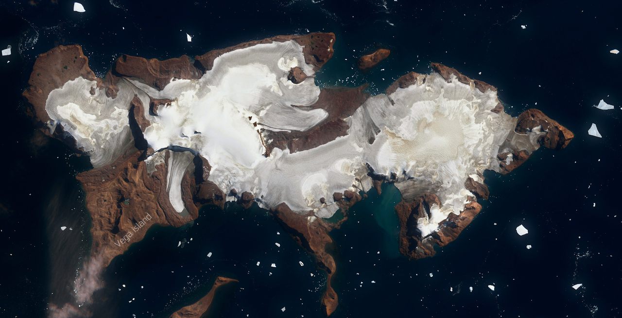 Captured in mid-February 2023, this satellite image of Vega Island, on the Antarctic Peninsula, shows significant amounts of exposed volcanic rock—and what appears to be a skull-like face. 