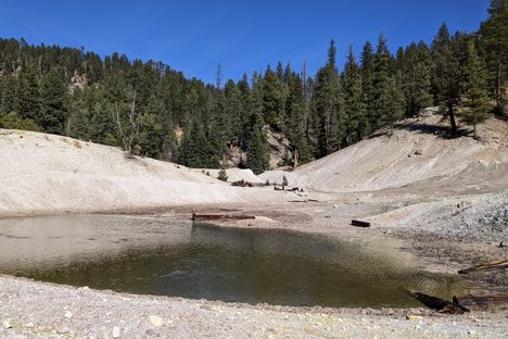 Sulphur Springs
