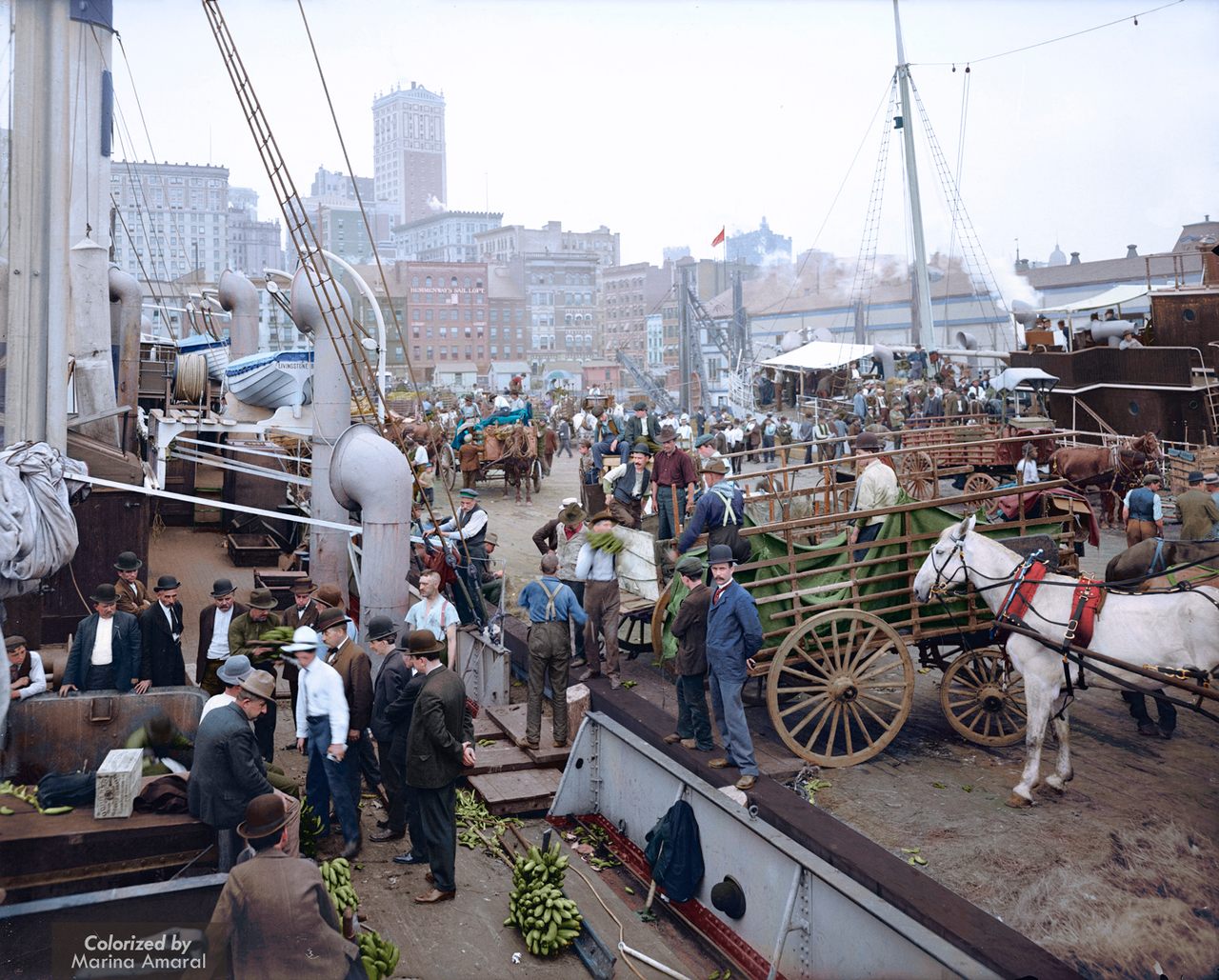 Banana docks, New York, ca. 1890-1910.