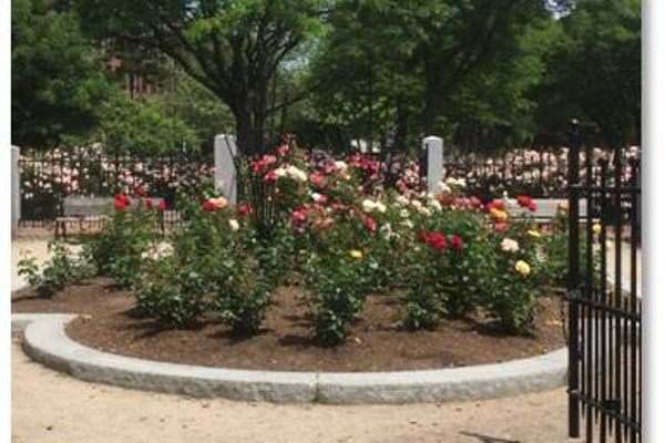The Rose Kennedy Rose Garden
