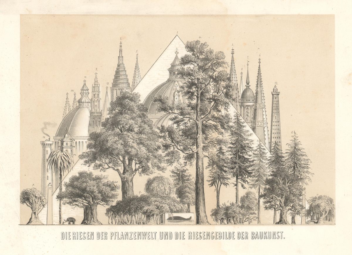 Compared to these soaring buildings and giant trees, an elephant and whale look like little specks.