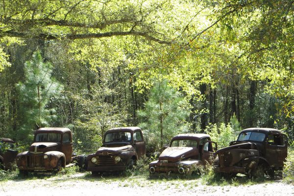 Harvey's Ford Truck Collection