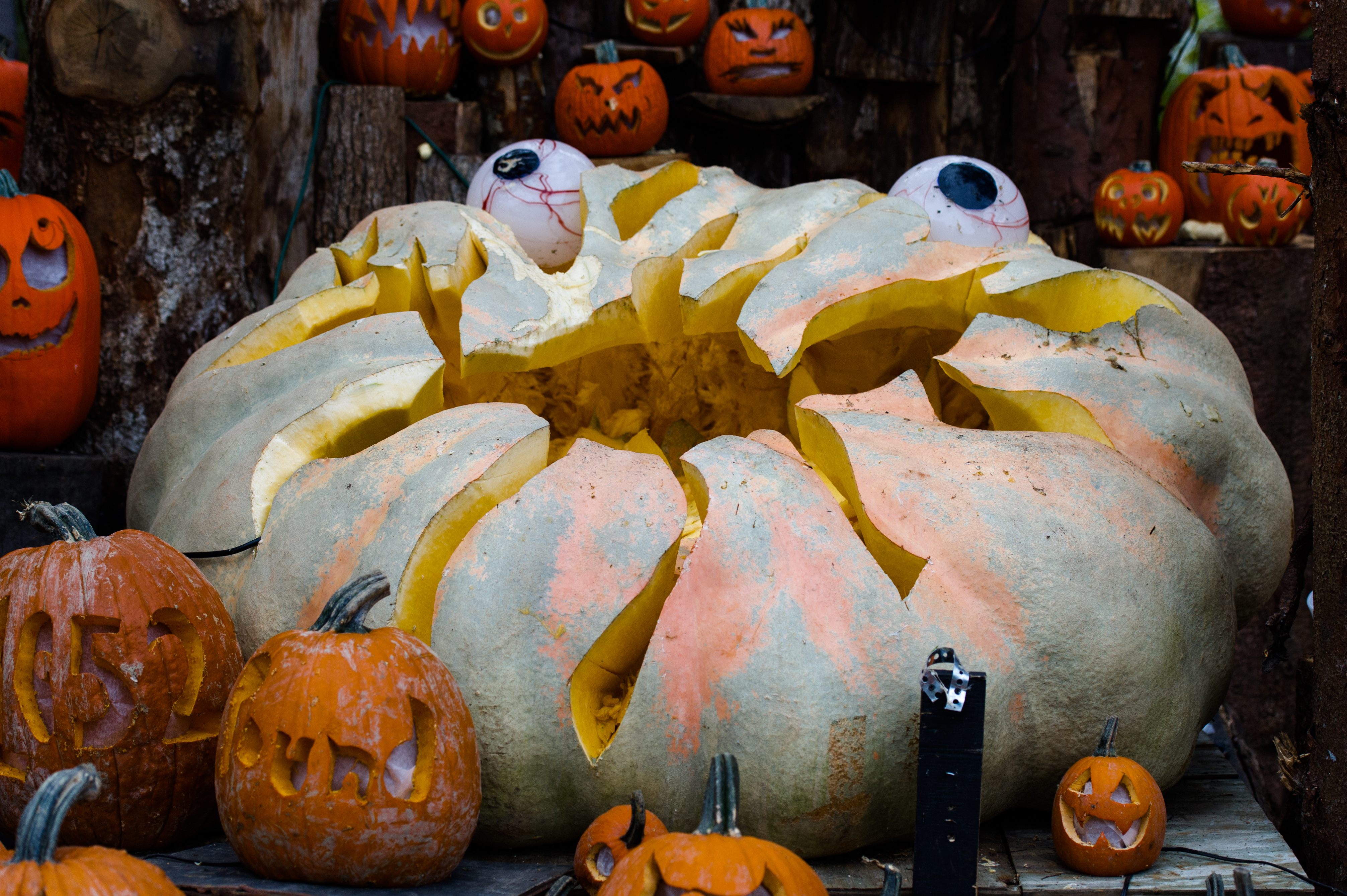 An inventive pumpkin carving design.