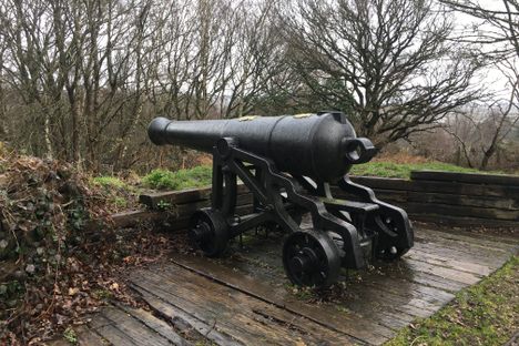 A cannon sits on a wet wooden platform overlooking trees