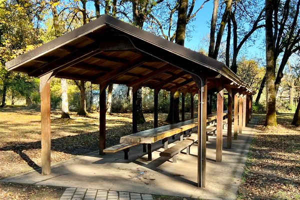 The Hull Picnic Table at Avery Park, Corvallis, OR