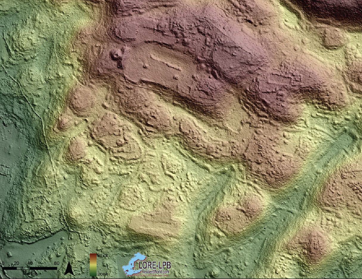 The ancient settlement of Angamuco in Mexico as visualized by lidar, which reveals topography and ruins (at top) obscured by the dense jungle.