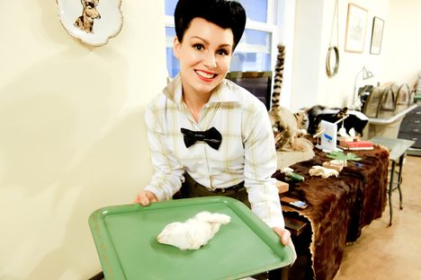 Society Adventures: The Dying Art of Taxidermy