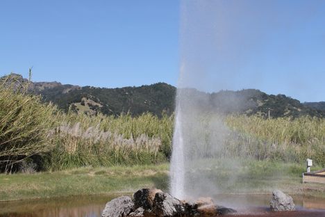 California's Old Faithful.