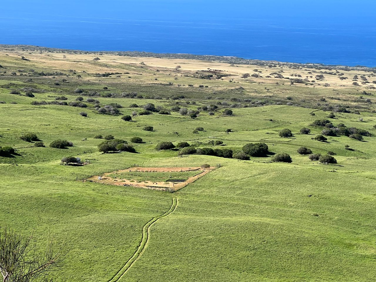 A garden (here, the square patch) sits in the center of the “sweet spot,” a stretch of land that gets just the right amount of rain for crops.