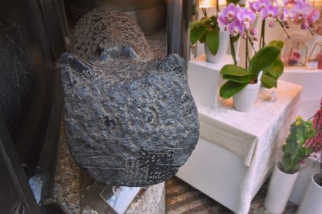 Coicorin, the love-inviting cat of Ginza.