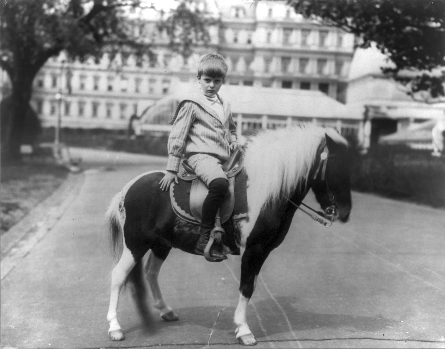 Archie Roosevelt on his pony Algonquin, the same year he pulled off his Christmas Tree gambit.