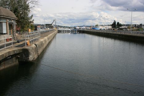 The wider (northern) lock.  Looking east.