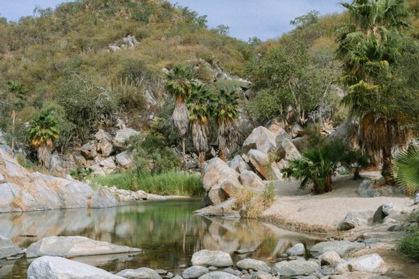 Accessed via a 90-minute drive that takes you through the small towns of Santiago and San Jorge, the Santa Rita Hot Springs are one of Los Cabos hidden gems.