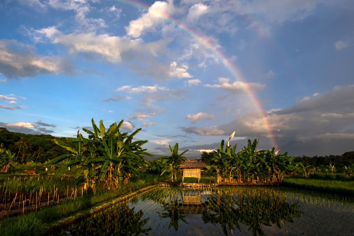 Blust theorizes that the rainbow taboo developed for two reasons: traditionally, rainbows were considered sacred, and pointing is widely viewed as aggressive.