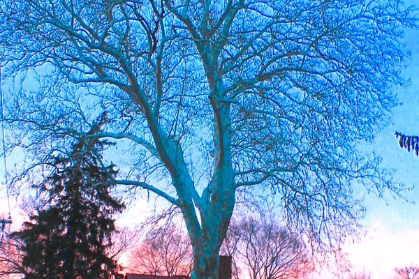 Winter sunset scene at Simeon Strong House.