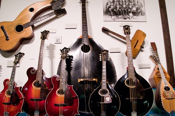 The Gibson Collection