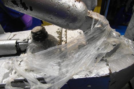A CPR entangled in a plastic bag.