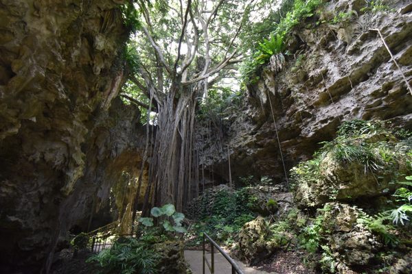 Valley of Gangala, Okinawa.