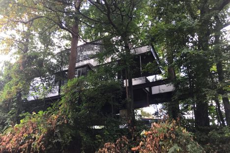 Atlanta Glass Treehouse 